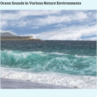 Ocean Sounds in Various Nature Environments