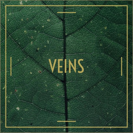 Veins