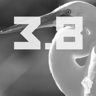 S3E8 - Birds of Prey