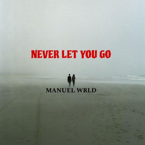 NEVER LET YOU GO