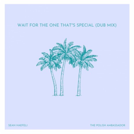 Wait For The One That's Special (Dub Mix) ft. Sean Haefeli | Boomplay Music