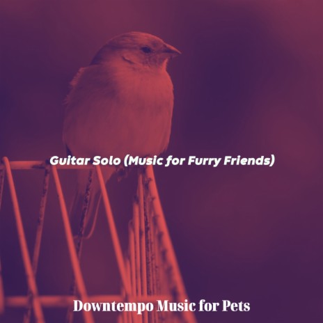 Cool Jazz Guitar Trio - Vibe for Pet Birds