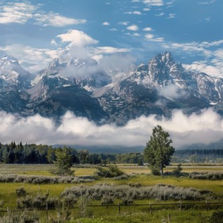 Teton