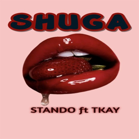 SHUGA ft. Tkay | Boomplay Music