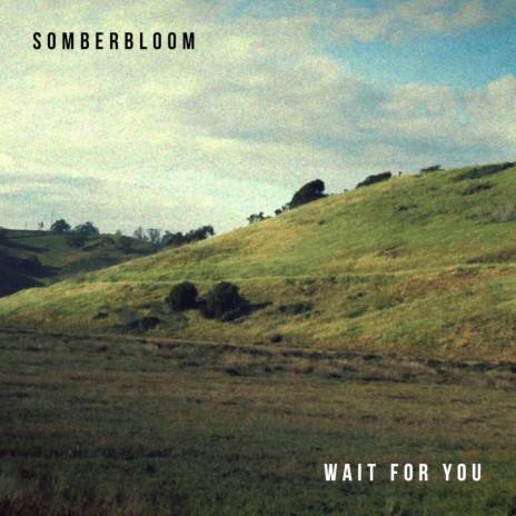 wait for you | Boomplay Music