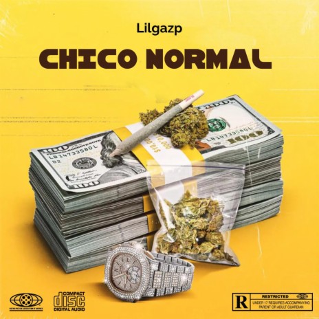 Chico normal | Boomplay Music