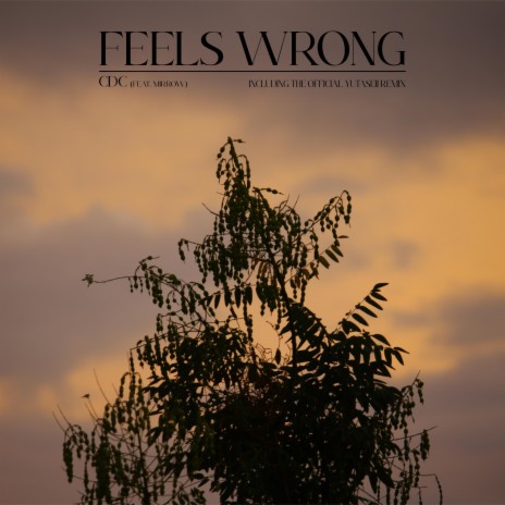 Feels Wrong ft. Mirrow | Boomplay Music