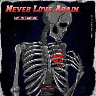 Never Love Again