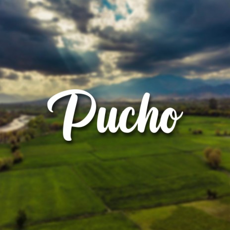 Pucho | Boomplay Music