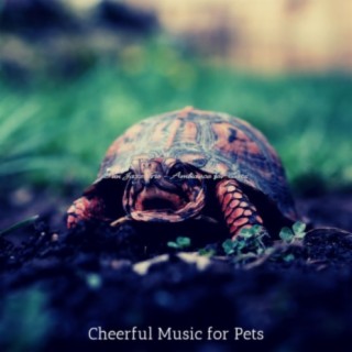 Cheerful Music for Pets