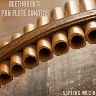 Beethoven's Pan Flute Sonatas