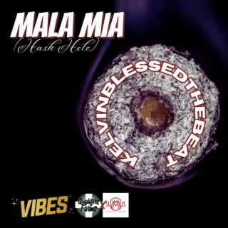 MALA MIA (Hash Hole) lyrics | Boomplay Music