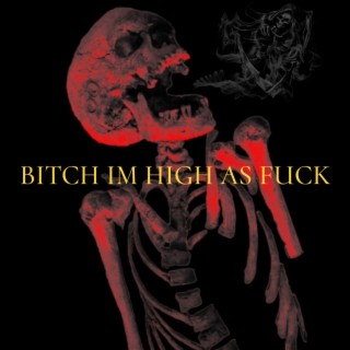 BITCH I'M HIGH AS FUCK lyrics | Boomplay Music