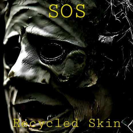 Recycled Skin | Boomplay Music