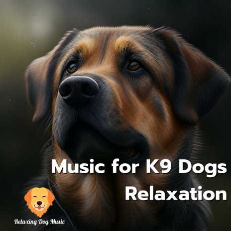 Happy Dog | Boomplay Music