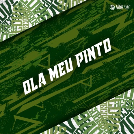 Ola Meu Pinto ft. DJ FELYPINHO 013 | Boomplay Music