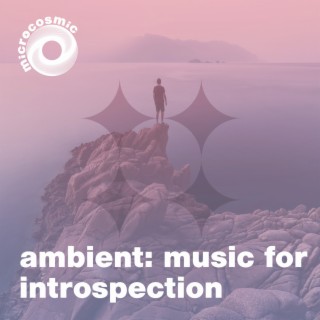 Music For Introspection
