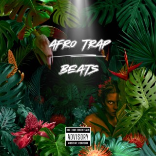 Afro Trap Beats
