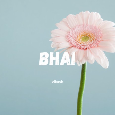 Bhai | Boomplay Music