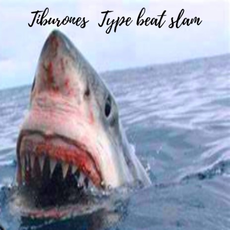 Tiburones Type Beat Slam | Boomplay Music