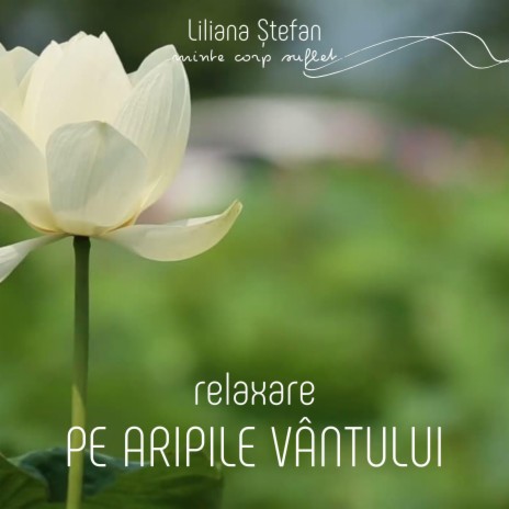 Pe Aripile Vântului | Boomplay Music