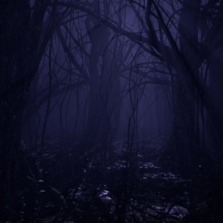 dark forest