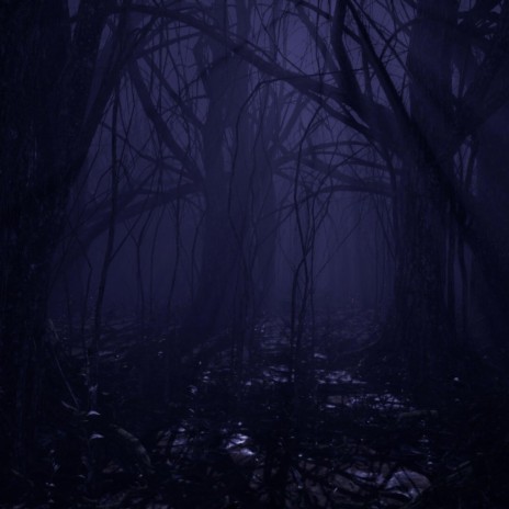 dark forest