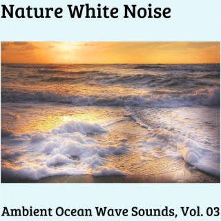 Nature White Noise - Ambient Ocean Wave Sounds, Vol. 03