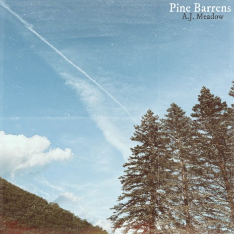 Pine Barrens | Boomplay Music