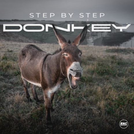 Donkey (Extended Mix) | Boomplay Music