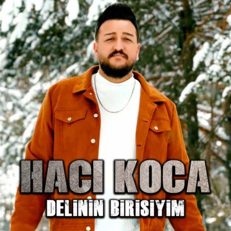 Delinin Birisiyim | Boomplay Music