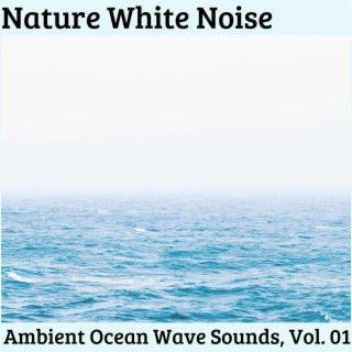 Nature White Noise - Ambient Ocean Wave Sounds, Vol. 01