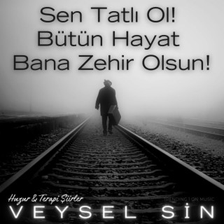 Sen Tatlı Ol Bütün Hayat Bana Zehir Olsun (Hz. Rabia) - Huzur & Terapi Şiirler lyrics | Boomplay Music