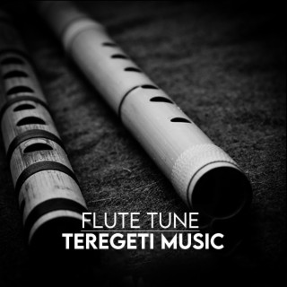 Teregeti Music