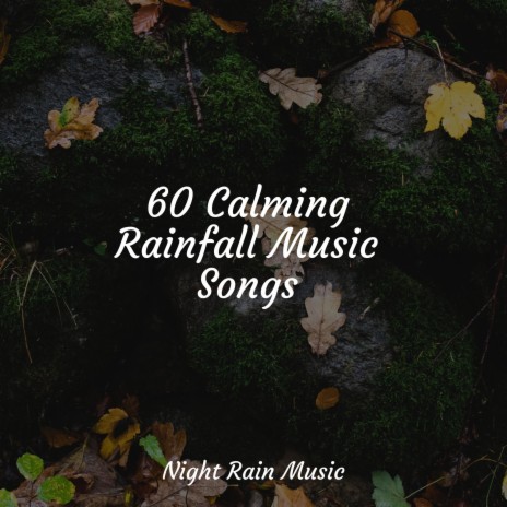 Shower Raindrops | Boomplay Music