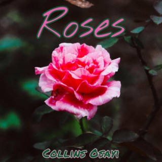 Roses lyrics | Boomplay Music