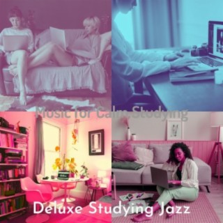 Music for Calm Studying