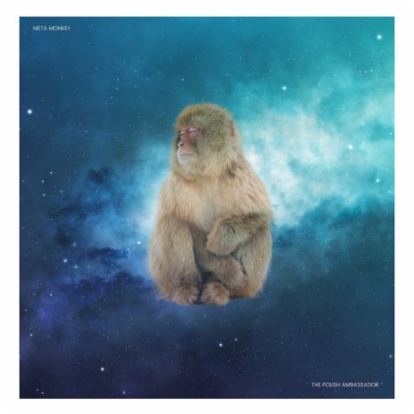 Meta Monkey | Boomplay Music