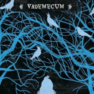 Vademecum lyrics | Boomplay Music