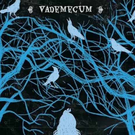 Vademecum | Boomplay Music