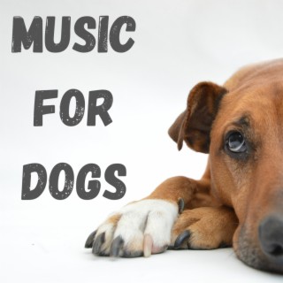 Music For Dogs (Vol.110)