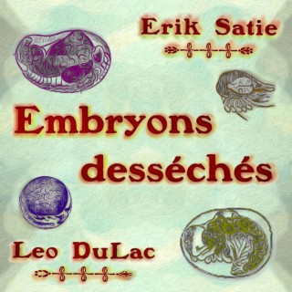 Embryons Desséchés