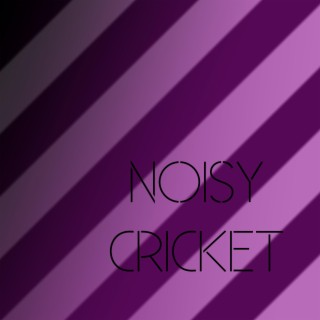 noisy cricket