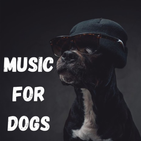 Healthy Sleep ft. Music For Dogs Peace, Calm Pets Music Academy & Relaxing Puppy Music | Boomplay Music