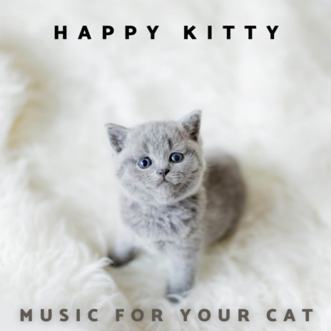 Happy Kitty