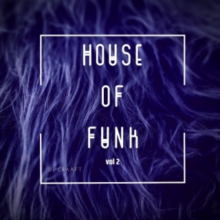 House of Funk, Vol. 2