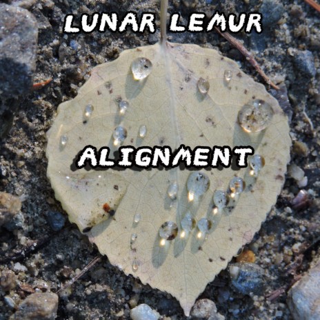 Alignment Two