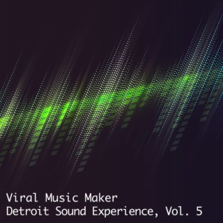 Detroit Sound Experience, Vol. 5