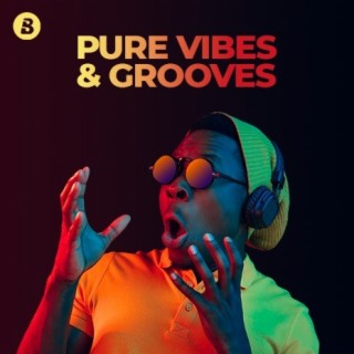 Pure Vibes & Grooves