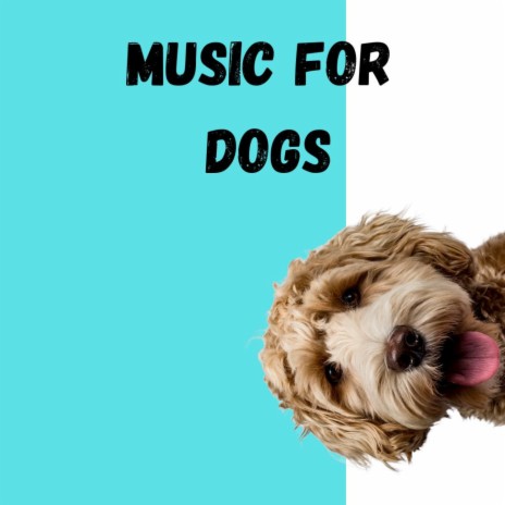 Relaxing Piano Music ft. Music For Dogs Peace, Relaxing Puppy Music & Calm Pets Music Academy | Boomplay Music